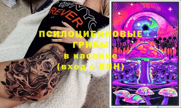 прущая мука Армянск
