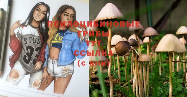 не бодяженный Аркадак
