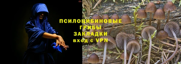 прущая мука Армянск