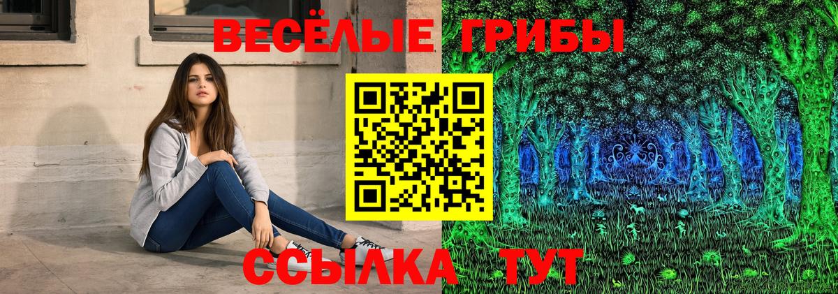 Псилоцибиновые грибы Cubensis  Вход с VPN  Радужный  Псилоцибиновые грибы мицелий 