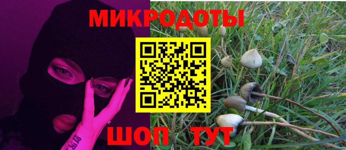 Псилоцибиновые грибы прущие грибы Радужный